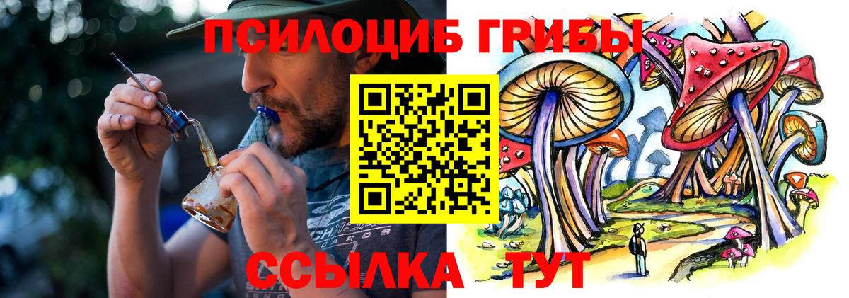 Ступино  Псилоцибиновые грибы мицелий  Вход с VPN  Галлюциногенные грибы Magic Shrooms 